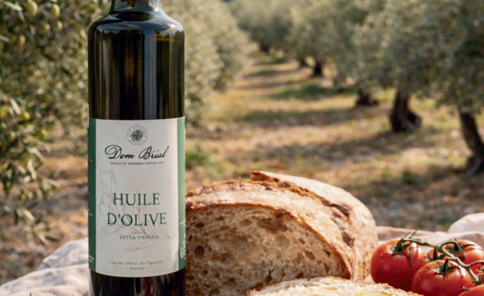 huile d'olive Dom Brial